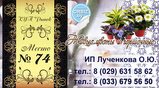 Визитка Цветы в Орше, магазин цветов, доставка цветов