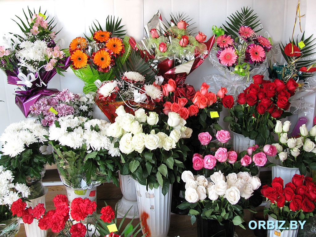 Орша, Цветы в Орше, магазин цветов, доставка цветов
