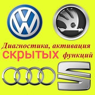 Активация скрытых функций VAG Skoda VW Audi & диагностика и сброс ошибок