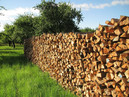 Купить дрова в Минске